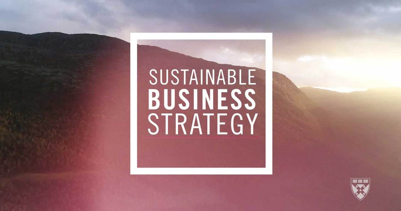 Sustainable Business Strategy Course Hbs Online